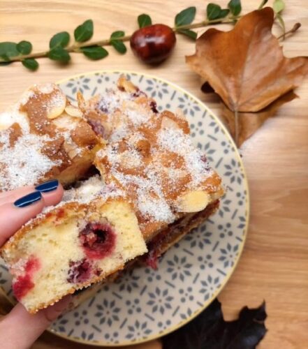 Jesenji kolač sa višnjama (VIDEO)